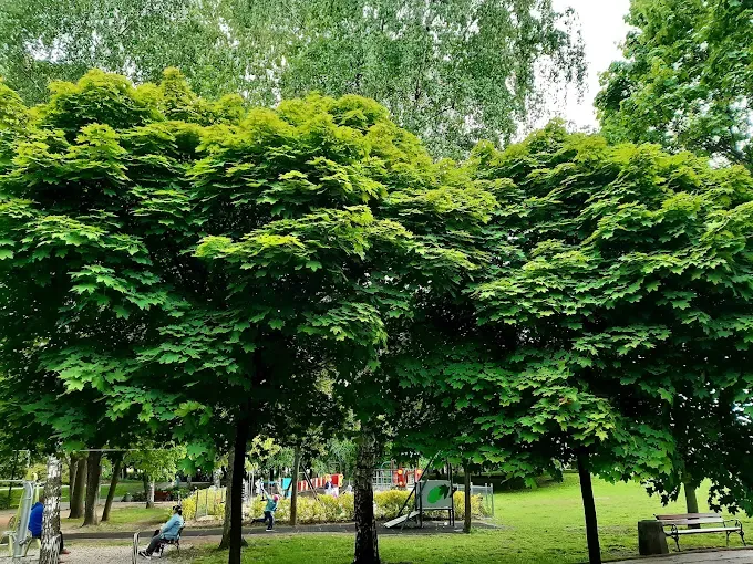 Park Miejski Ząbki